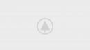 wood-gallery-placeholder-2