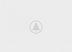 wood-gallery-placeholder-5