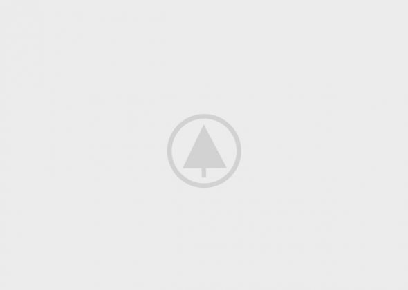 wood-gallery-placeholder-5 wood-gallery-placeholder-5