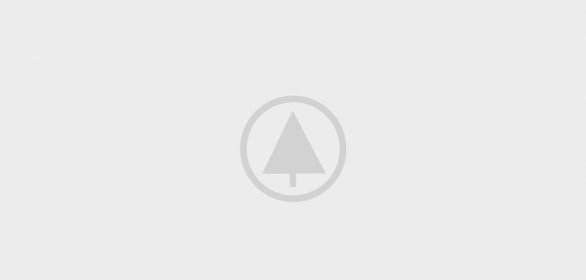 wood-portfolio-placeholder