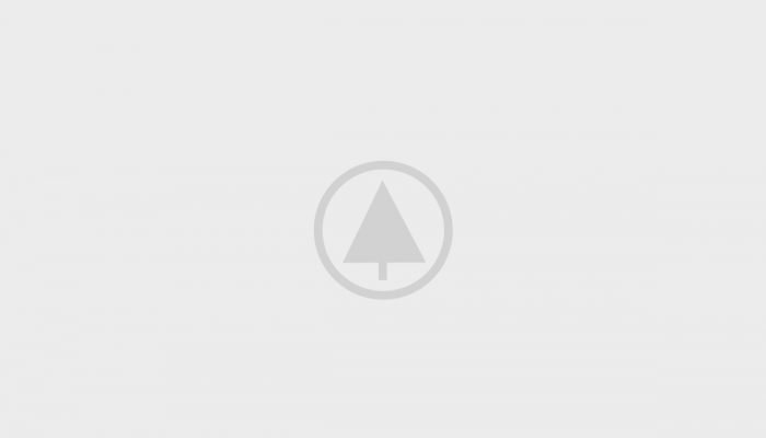 wood-portfolio-placeholder wood-portfolio-placeholder